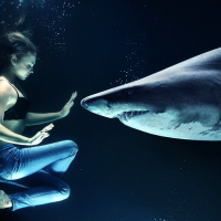 woman and shark