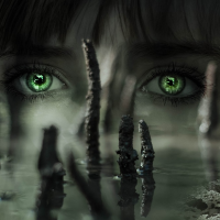 green eyes and a swamp
