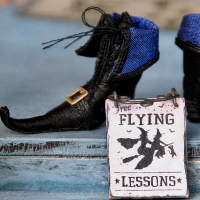 Flying lessons offered