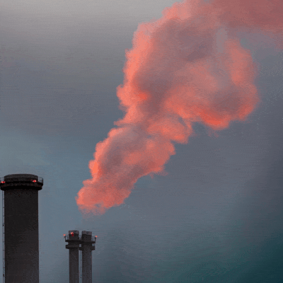 Injecting steam and flue gas into heavy oil