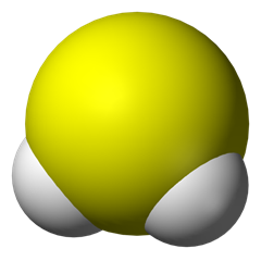 hydrogen sulphide